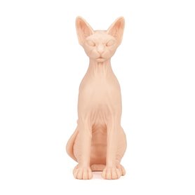 A POUND OF FLESH Pelle sintetica - Gatto Sphynx