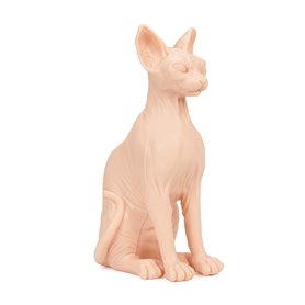 A POUND OF FLESH Gatto Sphynx