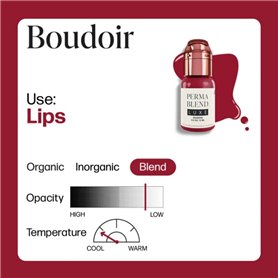 PERMA BLEND Inchiostro LUXE Boudoir 15ml