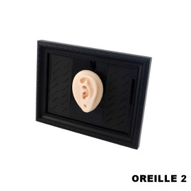 Cadre présentoir à piercings avec modèle en silicone - oreille 2 Cadre présentoir à piercings avec modèle en silicone - oreille 2