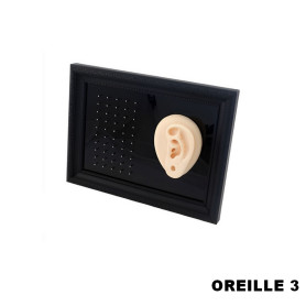 Cadre présentoir à piercings avec modèle en silicone - oreille 3 Cadre présentoir à piercings avec modèle en silicone - oreille 3